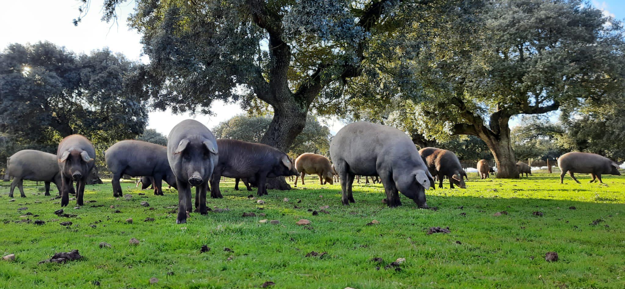 261683113_3137020706517743_8986536267354217743_n