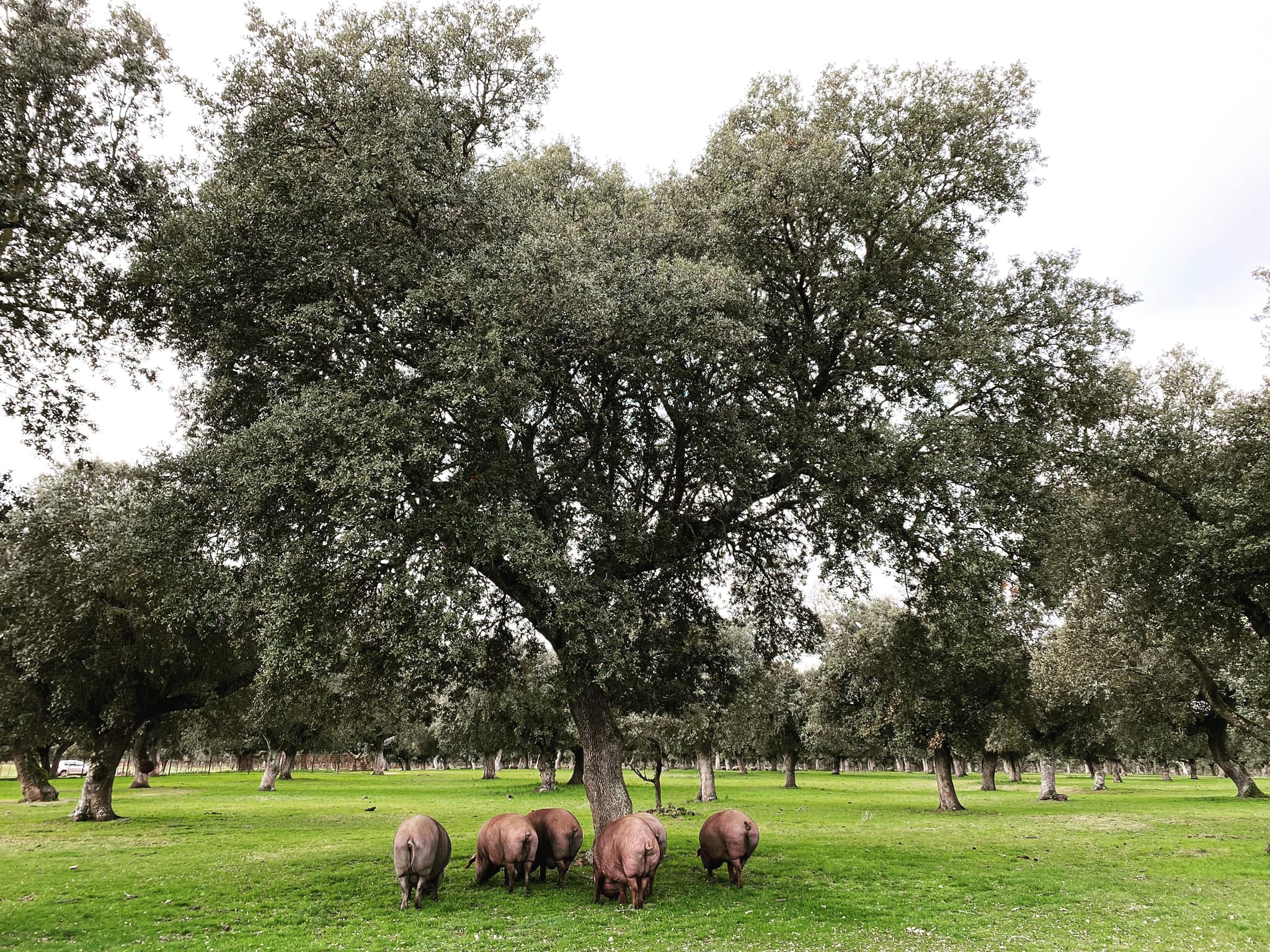 272141542_3175530562666757_5400360638383515580_n