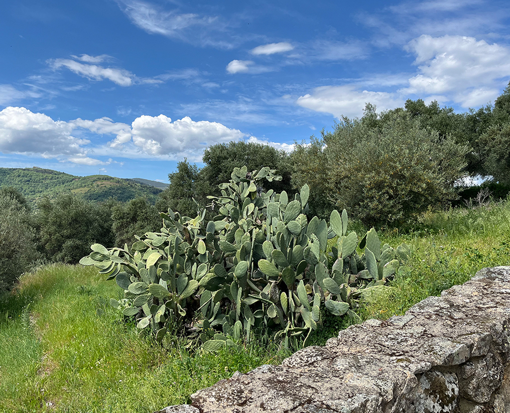 ermitacuesta_galeria03